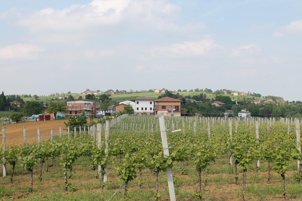 Agriturismo Le Casette Castelvetro di Modena Eksteriør bilde