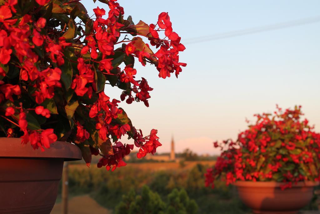 Agriturismo Le Casette Castelvetro di Modena Eksteriør bilde