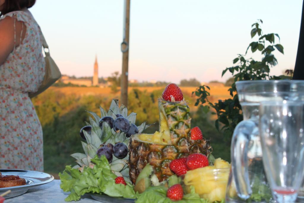 Agriturismo Le Casette Castelvetro di Modena Eksteriør bilde